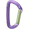 Wild Country Session Carabiner